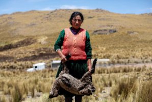 秘魯拉斯班巴斯礦的緊張局勢(shì)再次升級(jí)