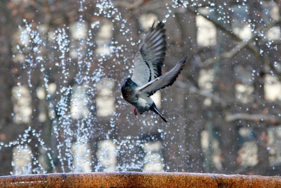 北極寒潮襲擊美國 導致美國東北部學校停課