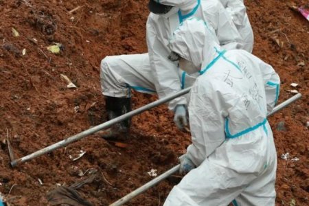 不放棄!MU5735搜尋仍將繼續