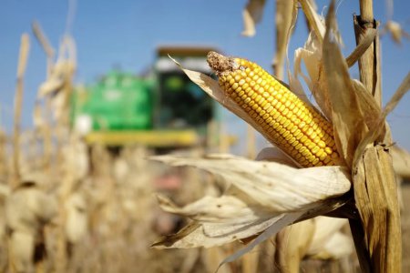 烏克蘭戰爭加劇全球糧食危機 不要將俄羅斯排除在