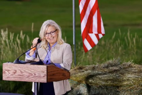 美國眾議員利茲切尼反對共和黨候選人