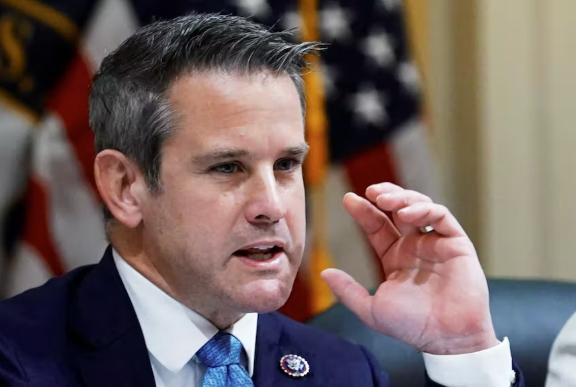 國會議員金辛格說 共和黨人為特朗普辯護是&ldquo;虛偽的&rdquo;