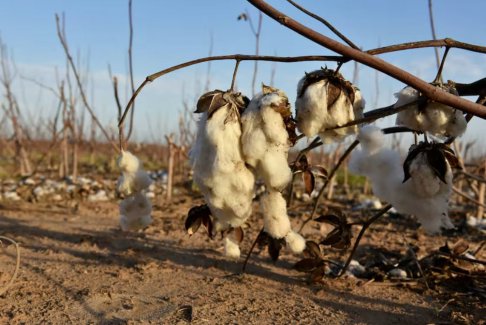 厄爾尼諾現象有望在多年來最嚴重的干旱后提振美國