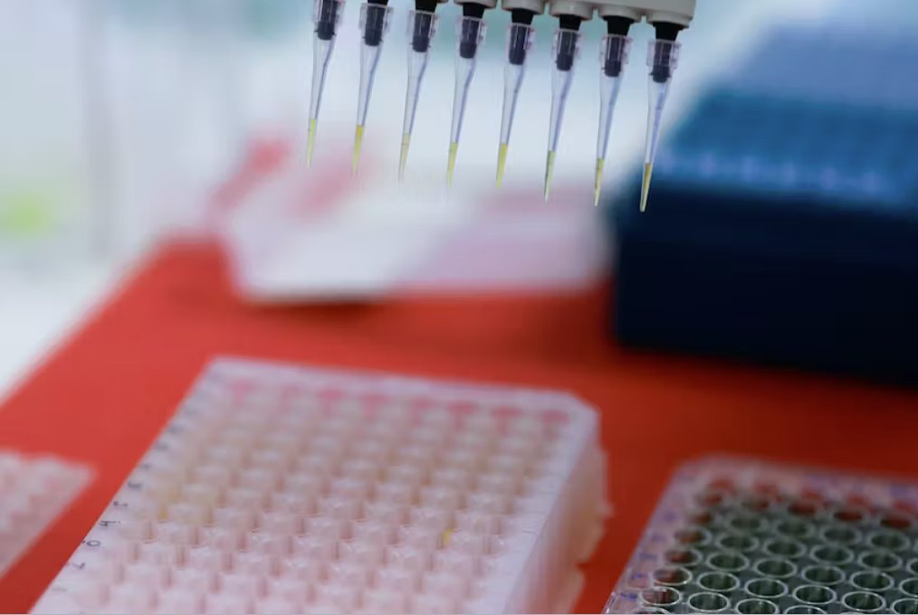 巴西加強禽流感防御以保護世界頂級養雞業