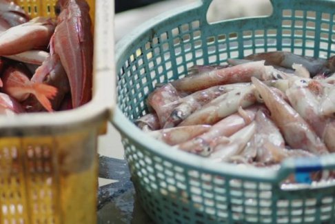 福島核廢水：在科學(xué)數(shù)據(jù)面前 居民仍恐懼看不見的敵