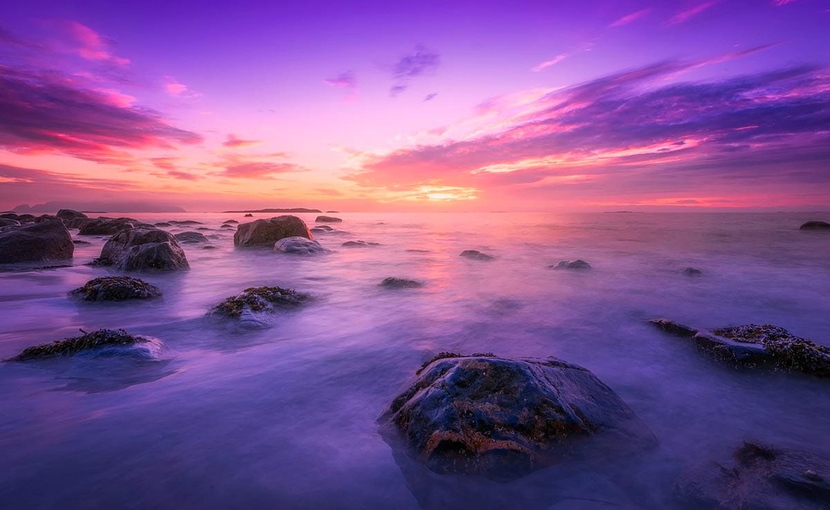 世界上一半以上的海洋已經變色