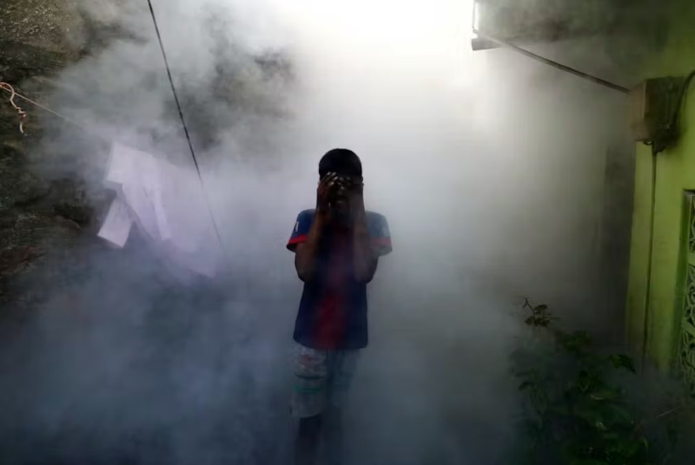 隨著全球變暖使病例接近歷史高點 世衛(wèi)組織警告登革熱風險