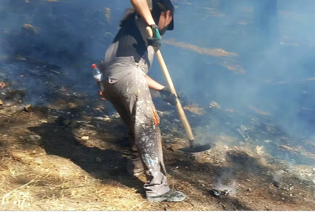 希臘羅德島野火迫使大規模疏散