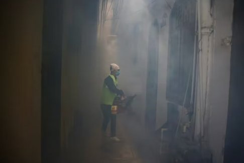 印度免疫學公司計劃于2026年1月推出登革熱疫苗