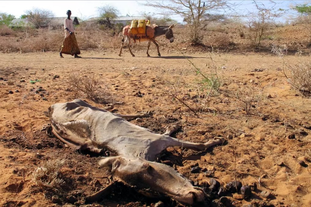 國際貨幣基金組織表示 氣候變化可能會增加沖突死亡人數