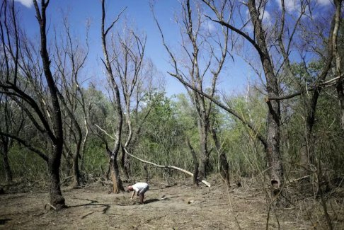 羅馬尼亞在與烏克蘭邊境附近發現無人機殘骸