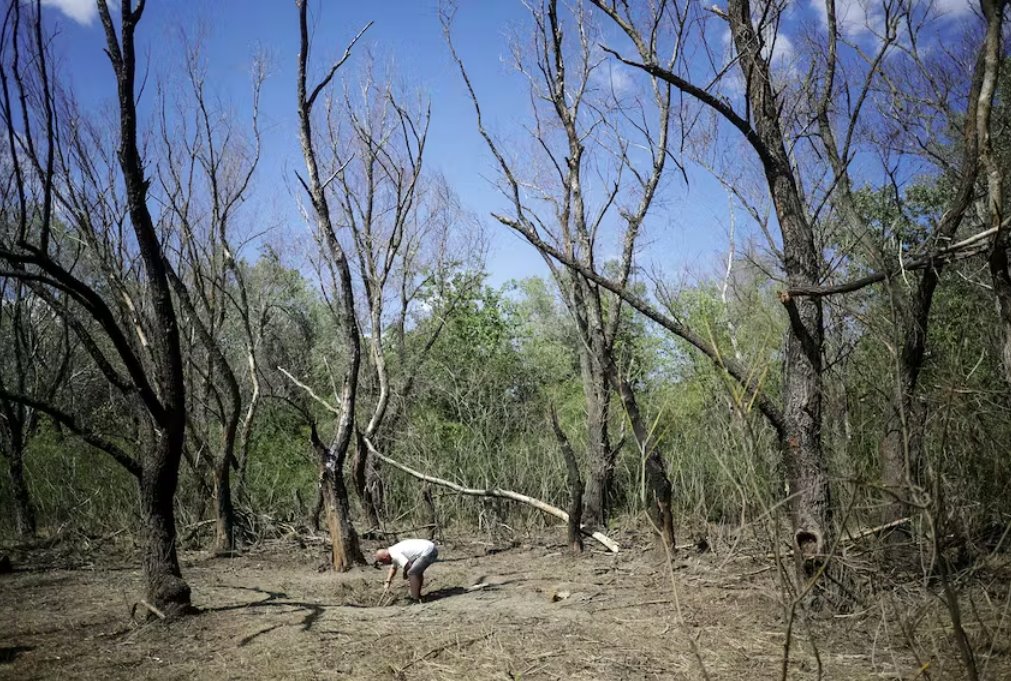 羅馬尼亞在與烏克蘭邊境附近發現無人機殘骸