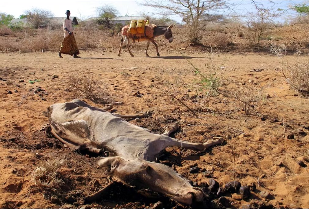 歐盟執行官表示暫停對索馬里的援助付款