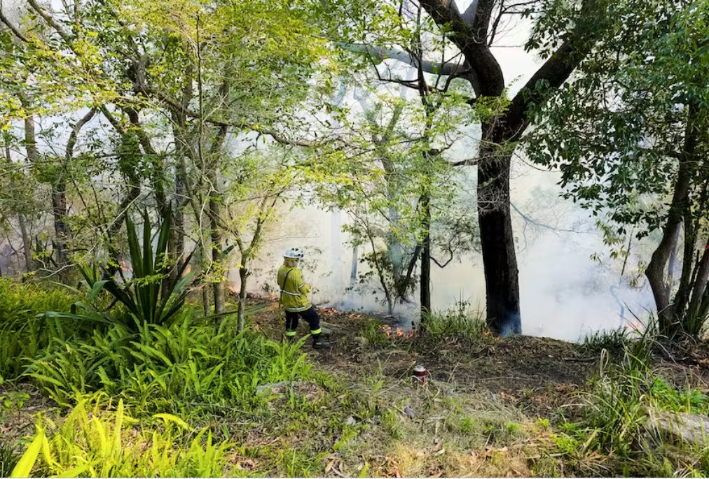 澳大利亞酷熱難耐森林火災(zāi)風(fēng)險(xiǎn)上升