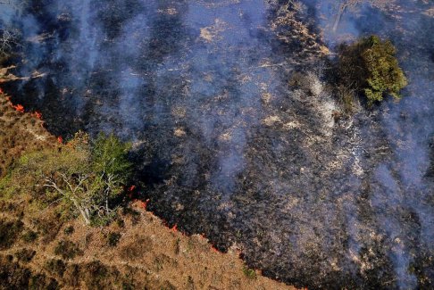 巴西潘塔納爾濕地的火災激增至11月創紀錄水平