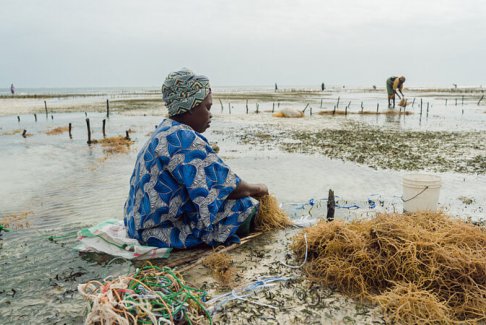 適應手冊是COP28氣候峰會對世界弱勢群體的真正考驗