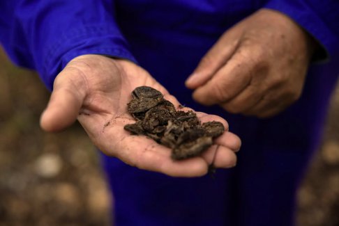 希臘湖泊洪水泛濫向應對氣候變化的歐洲農民發出警