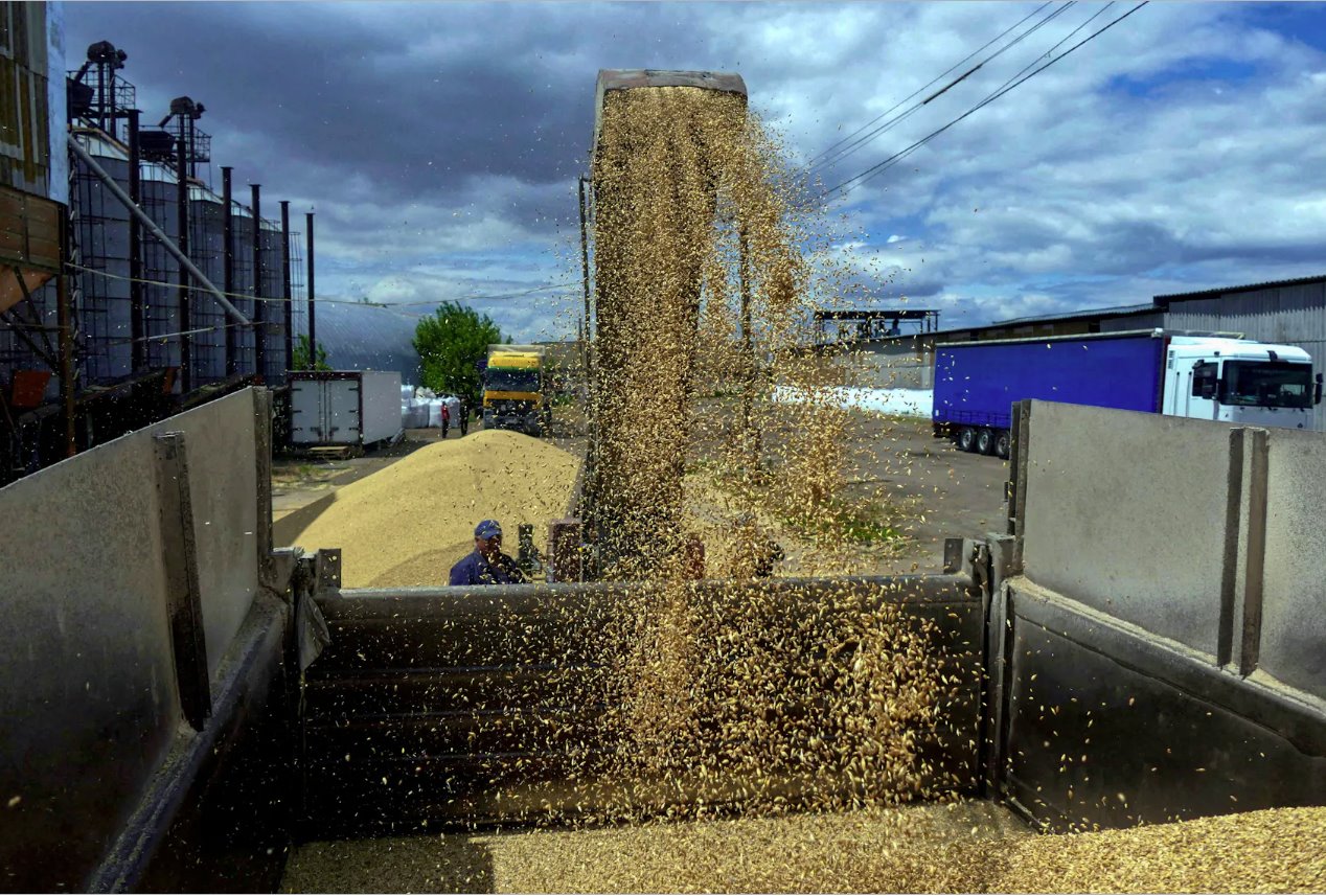 烏克蘭,2022年6月23日,俄羅斯對烏克蘭的攻擊仍在繼續,敖德薩地區大麥收割期間,一名工人在碼頭裝載谷物。