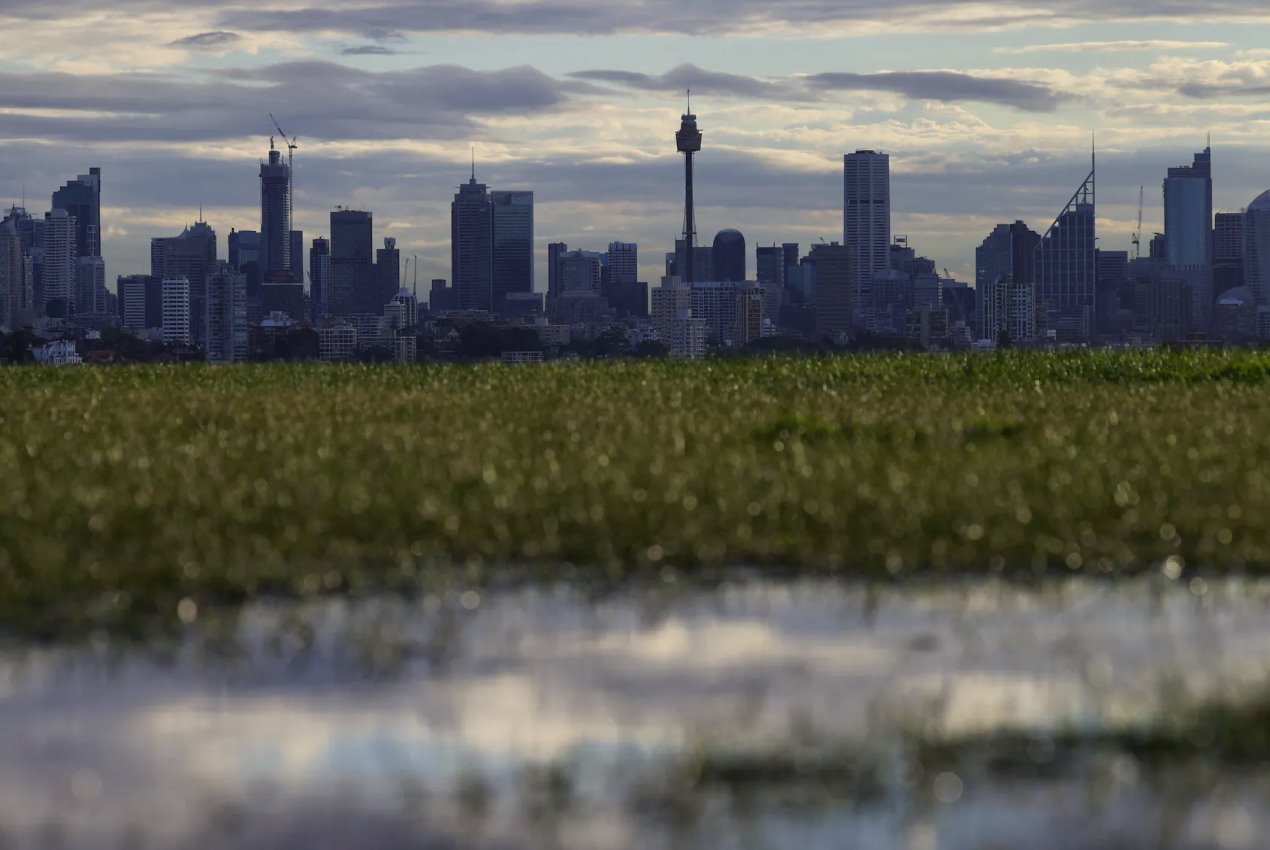 2020年6月29日，澳大利亞悉尼，為遏制冠狀病毒疾病(COVID-19)傳播而實(shí)施的限制放松，市中心的天際線清晰可見。