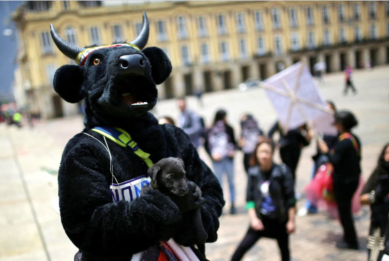 2022年10月5日,哥倫比亞波哥大,一名動物權利活動人士抱著一只小狗參加示威活動,要求批準一項禁止斗牛、斗雞和虐待動物活動的法律。