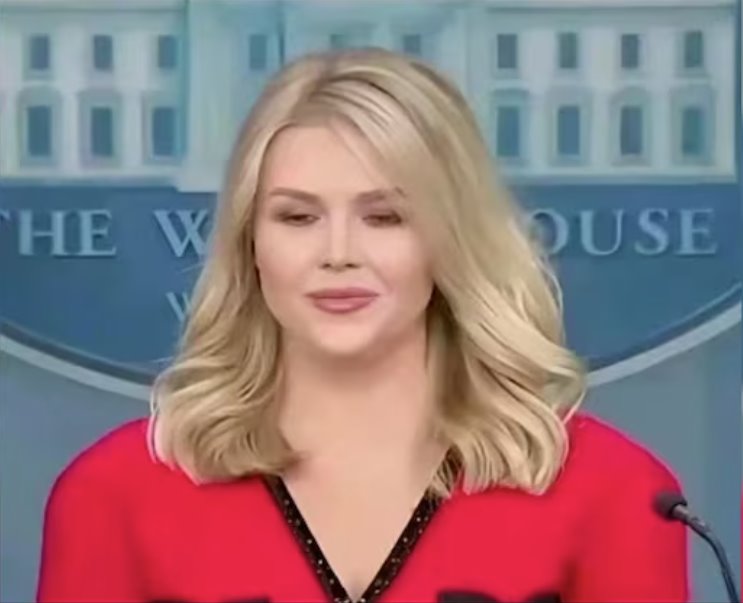 白宮發(fā)言人萊維特女士穿中國造服裝