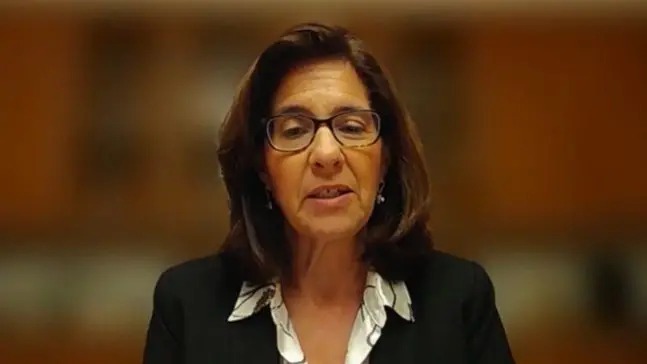 Mona Yacoubian 對著鏡頭講話,她身后的背景很模糊