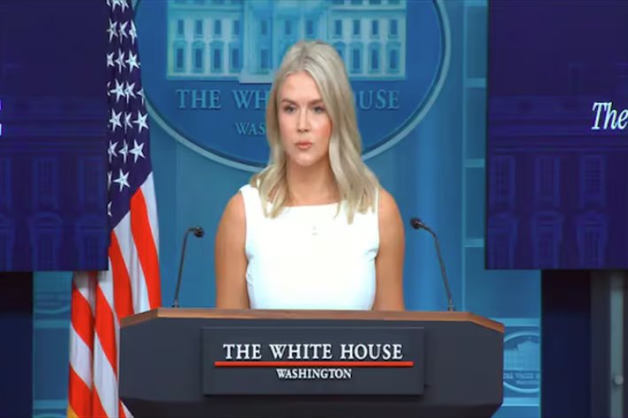 美國(guó)白宮新聞秘書卡羅琳&middot;萊維特