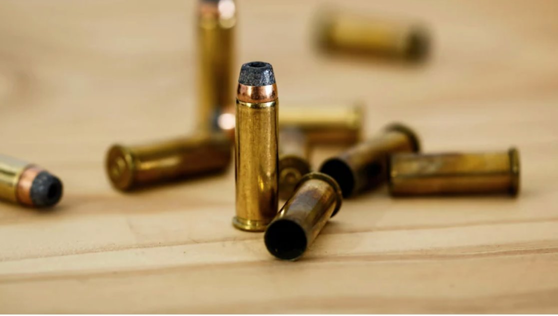 美國男子因寵物狗意外走火被送往醫(yī)院