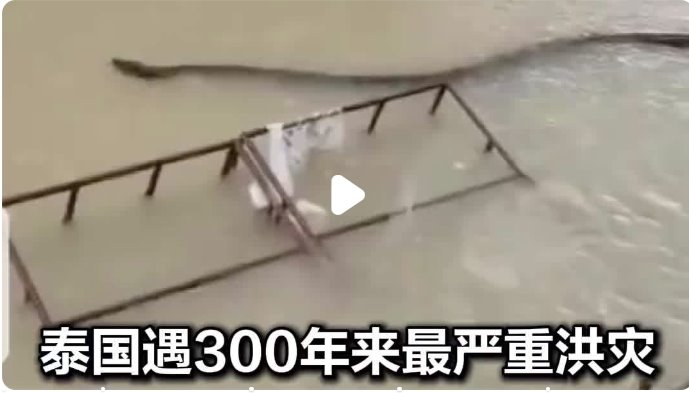 泰國遇洪災(zāi)：巨蛇在洪水中游動