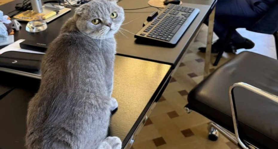 德韋弗在 Maximus 上發布的帖子并非人人都喜歡